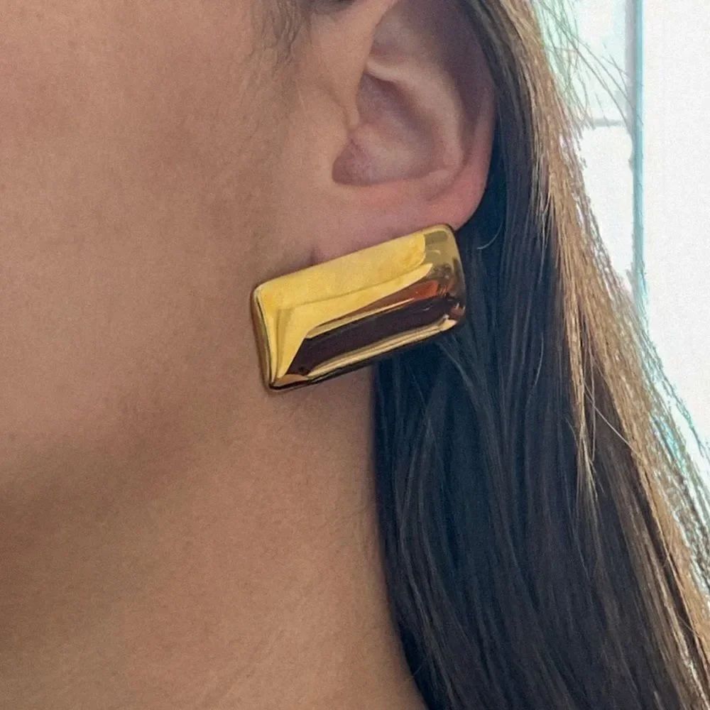 Geo earrings N774